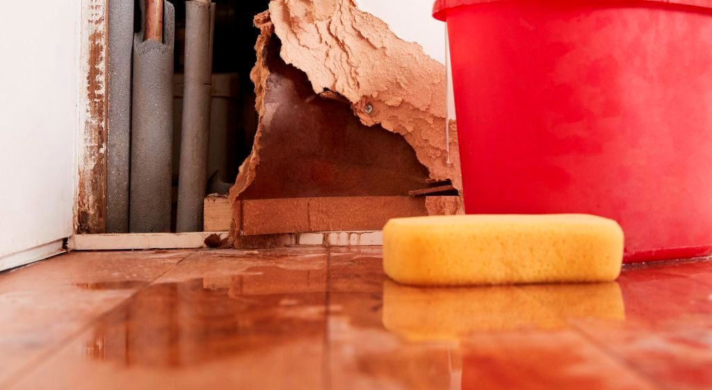 How to Minimize Flooring Damage From a Water Emergency