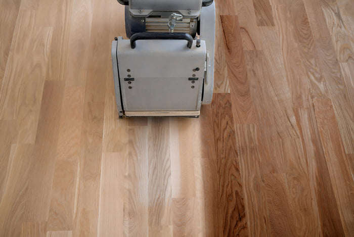 Flooring Pests to Watch Out For