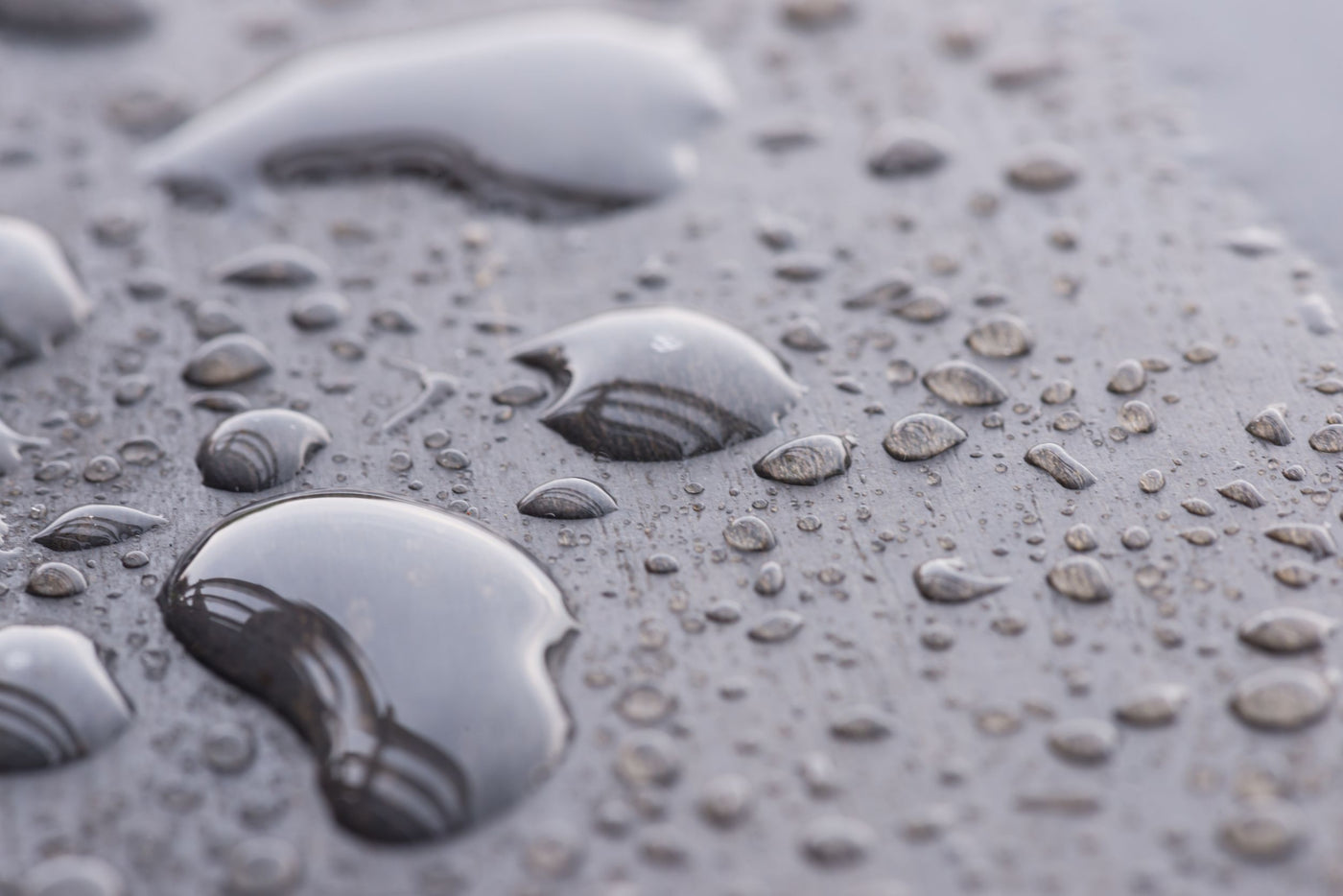 When is Waterproof Flooring a Better Solution than Hardwood?