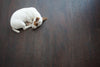 Which Flooring Types are Best for Pets?