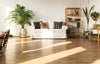 How to Save Your Flooring From Your Houseplants