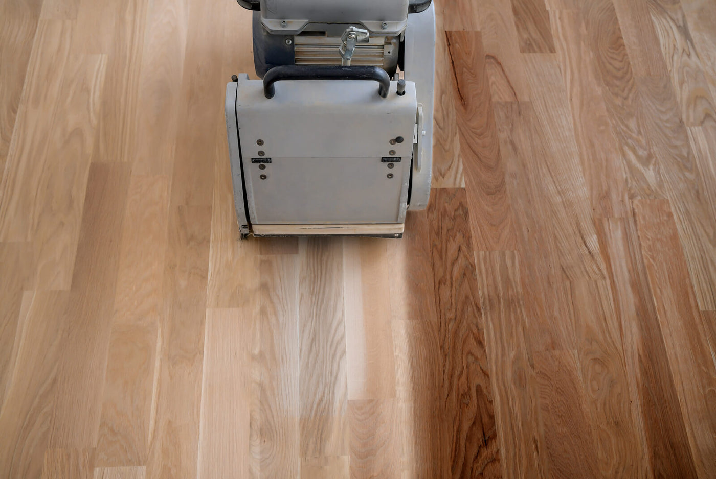 Flooring Pests to Watch Out For