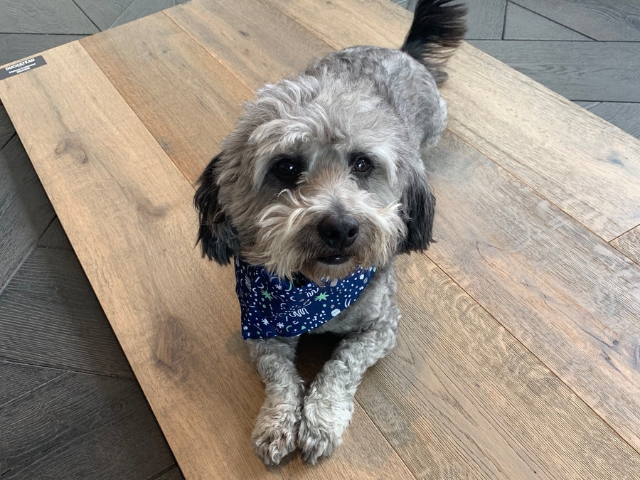 DuChâteau Engineered Hardwood Chateau Bravone