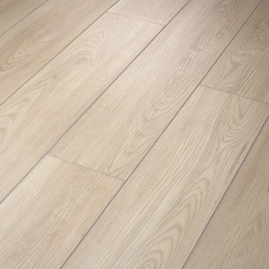 Shaw Now Paladin Plus Silver Dollar