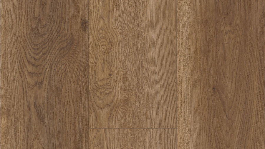 COREtec Plus XL Enhanced Luxury Vinyl Arvon Oak